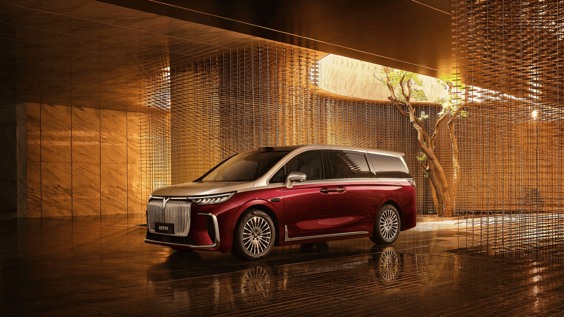 Voyah Dreamer 2026 premium miniven